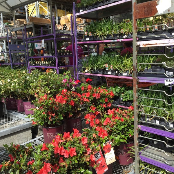 The Home Depot 3 tips from 977 visitors