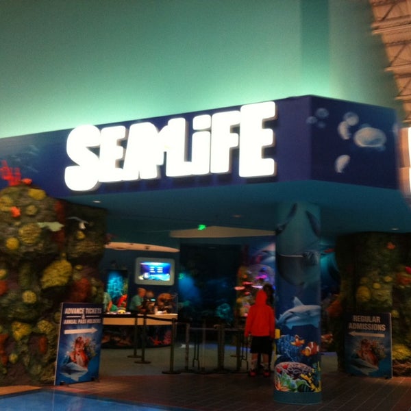 Photo taken at SEA LIFE Charlotte-Concord Aquarium by Jeff C. on 4/22/2014