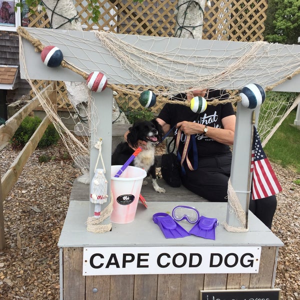 The Cape Cod Dog 3 Main St Unit 1