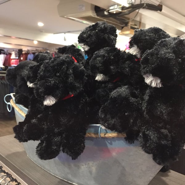 The Black Dog General Store Provincetown, MA