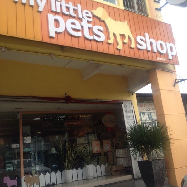 dave pet store