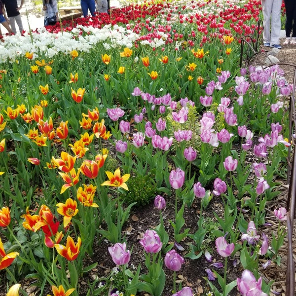 รูปภาพถ่ายที่ Descanso Gardens โดย A เมื่อ 3/30/2018