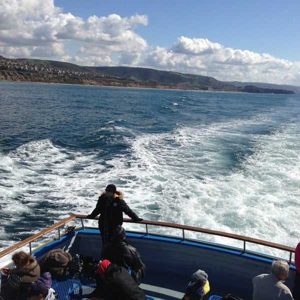 Photo taken at Newport Landing Whale Watching by Björn on 2/9/2013