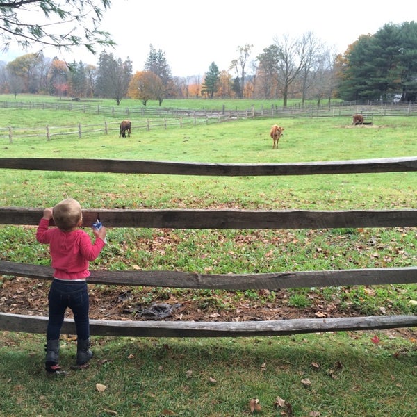 10/18/2014 tarihinde Kelly H.ziyaretçi tarafından Billings Farm &amp; Museum'de çekilen fotoğraf