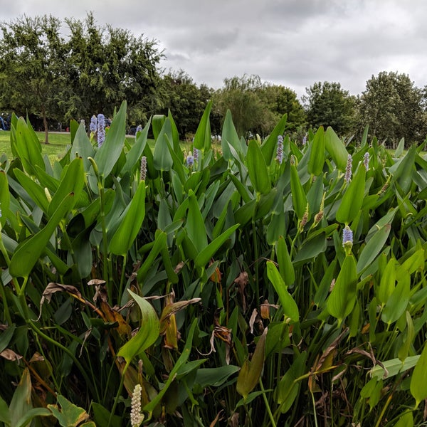 Das Foto wurde bei Mueller Farmers Market von Elena O. am 9/25/2018 aufgenommen