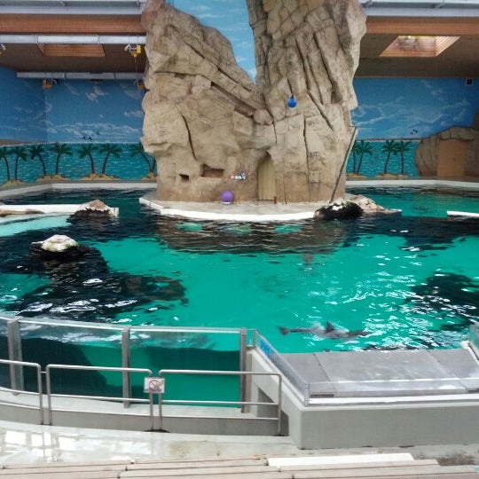 Delfinarium - Duissern - 2 tips from 327 visitors