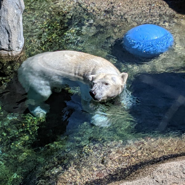 Foto tirada no(a) Seneca Park Zoo por Andy H. em 6/8/2019