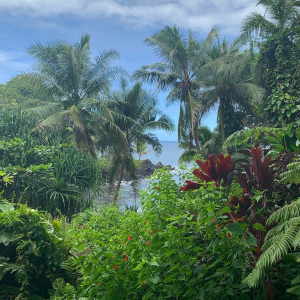 Das Foto wurde bei Hawaii Tropical Botanical Garden von Erik B. am 8/9/2019 aufgenommen