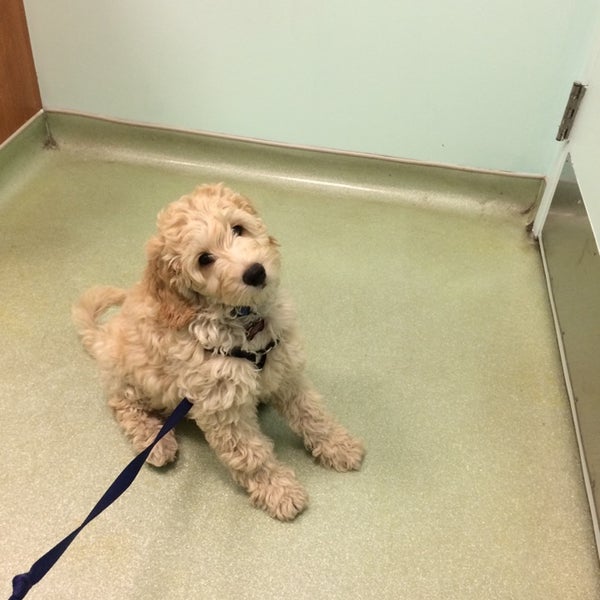 Foto tirada no(a) West Village Veterinary Hospital por Aubrey S. em 10/25/2014