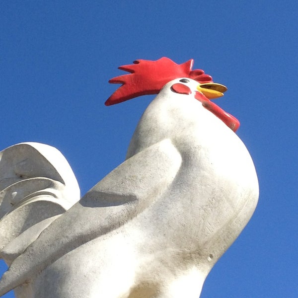 Bayard Rooster Bayard 12699 Phillips Hwy