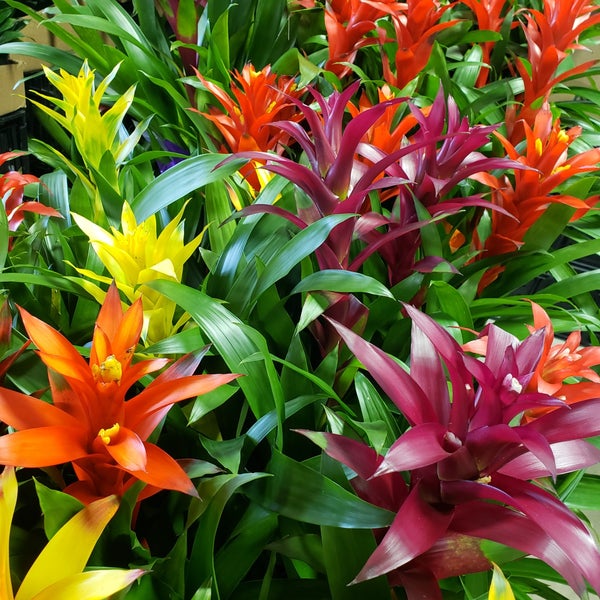 Photos at Produce Junction Wynnefield 9 tips