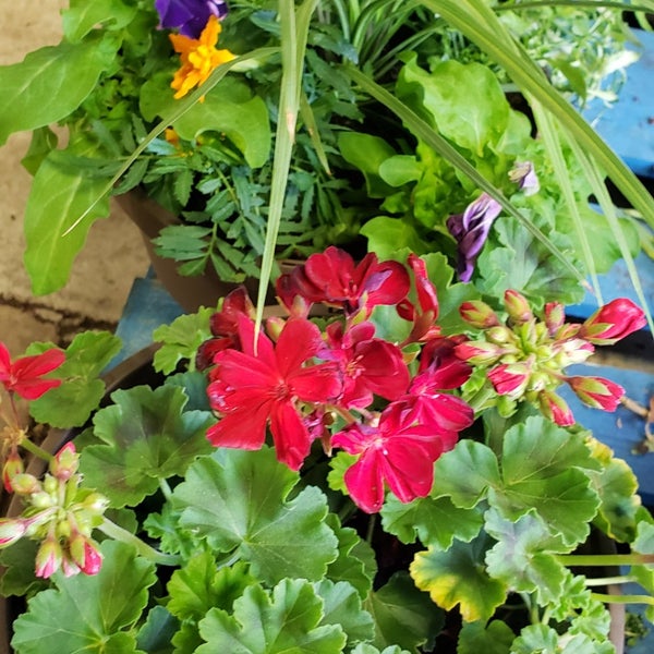 Photos at Produce Junction Wynnefield 9 tips