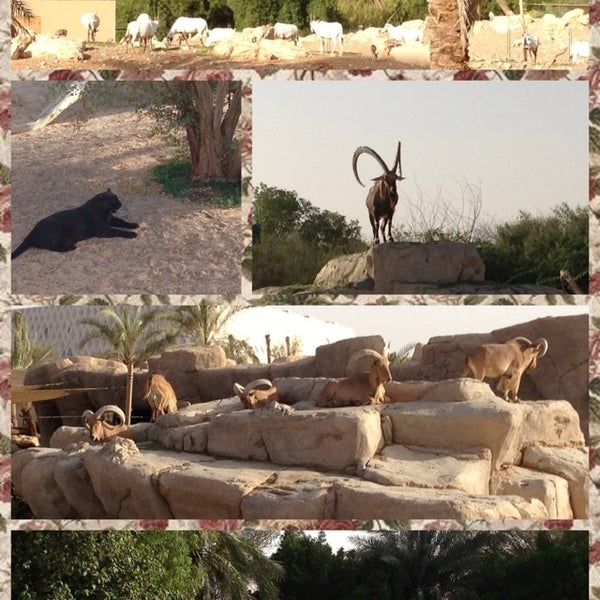 Photos at Al Ain Zoo & Aquarium Al Ain