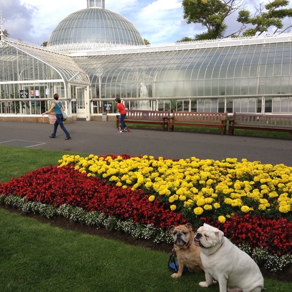 Glasgow Botanic Gardens Glasgow, Glasgow City