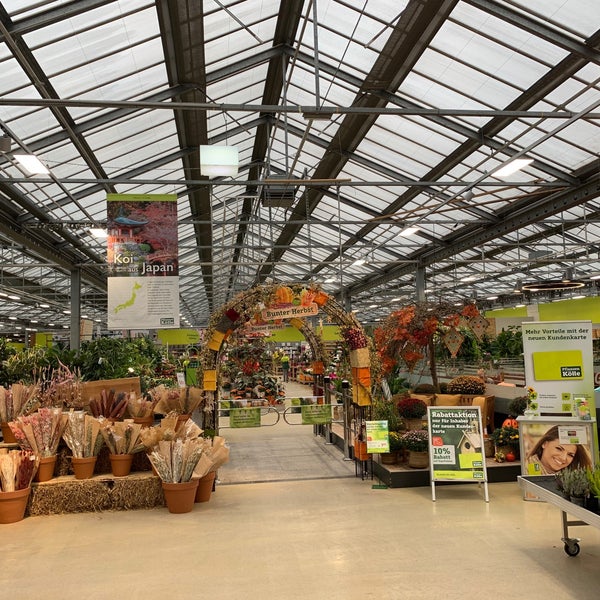 Pflanzen Kolle Gartencenter Gmbh Co Kg Munchen Goteboldstrasse Munchen