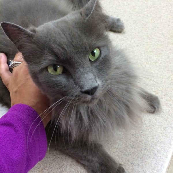 animal care center and pet resort