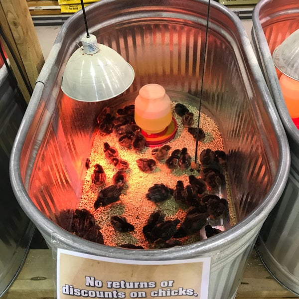 Coastal Farm & Ranch GreshamNorth Central 2 tips