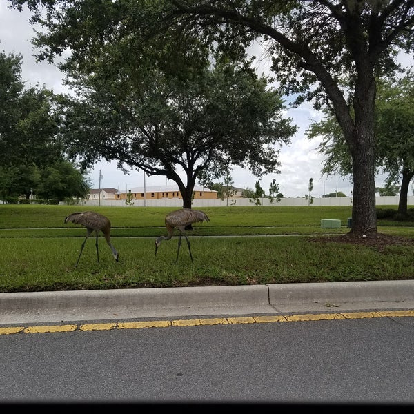 Gibsonton, FL 3 tips