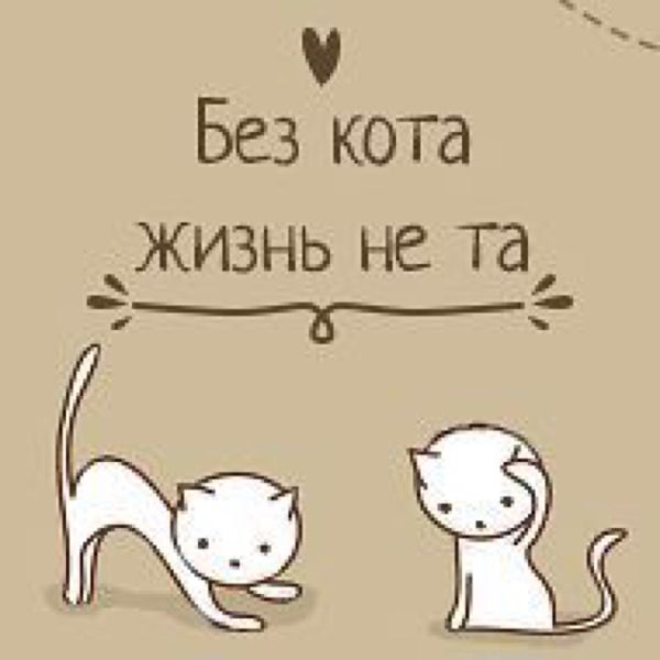 Жизнь кота фото. Комикс один день из жизни кота. Жизнь кота. Без кота и жизнь не та. Без кота.