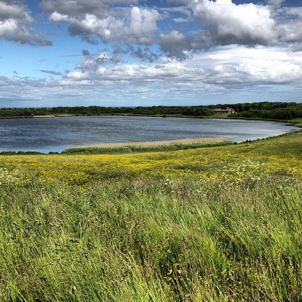Druridge Bay Country Park Morpeth, Northumberland