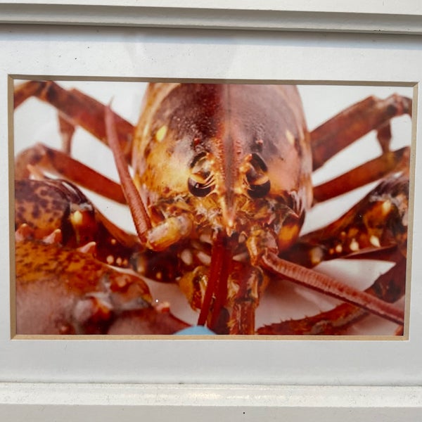 Foto tomada en The Lobster Roll Restaurant  por Michael K. el 7/23/2022