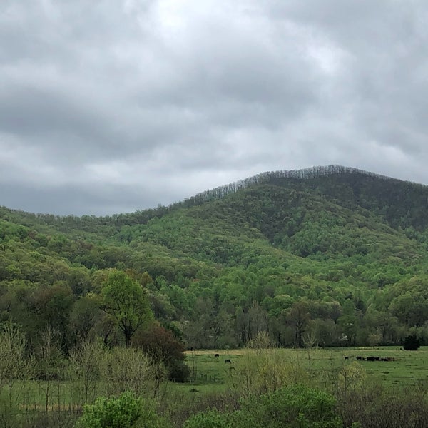 Photo taken at Bold Rock Cidery by Michael K. on 4/19/2019