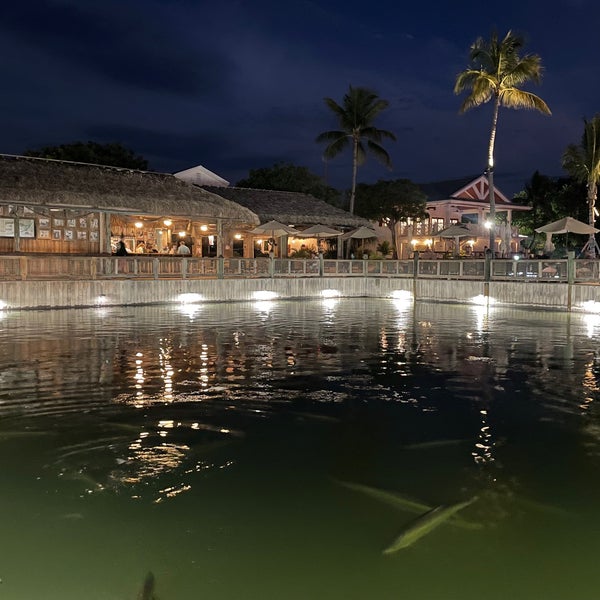 Islamorada Fish Company 103 tips