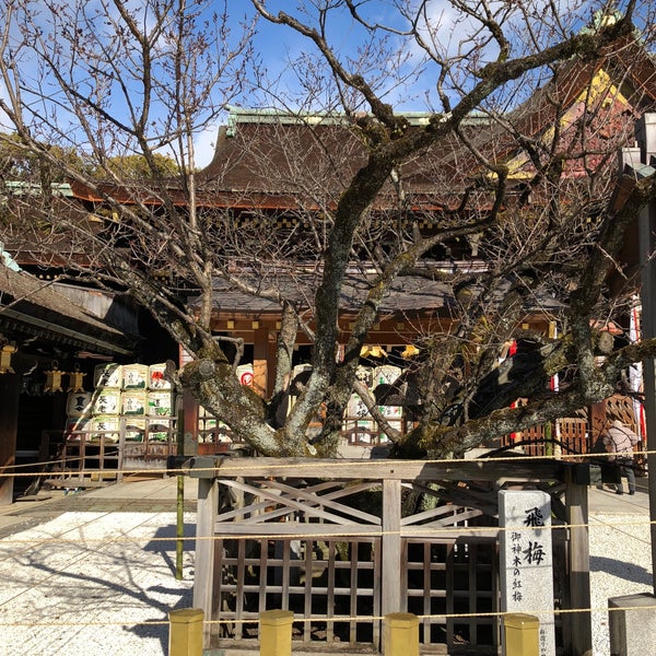 紅和魂梅 飛梅伝説伝承の御神木 Kyoto 京都府 Da Fotograflar