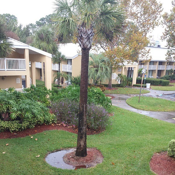 Photo taken at Wyndham Orlando Resort by Cher R. on 11/2/2013