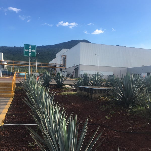 Planta Tequila don julio Destilería