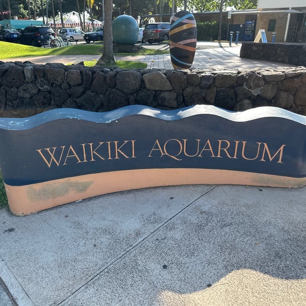 Photo prise au Waikiki Aquarium par Sv H. le12/16/2022