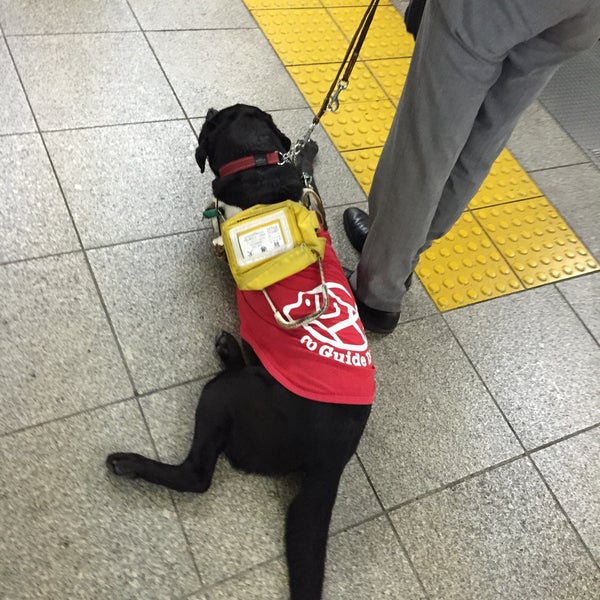 Fotos Em 中野坂上 地下鉄中野坂上駅 バス停 Ponto De Onibus