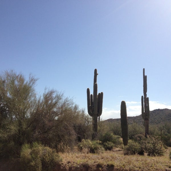 Tonto National Forest Forest in Scottsdale
