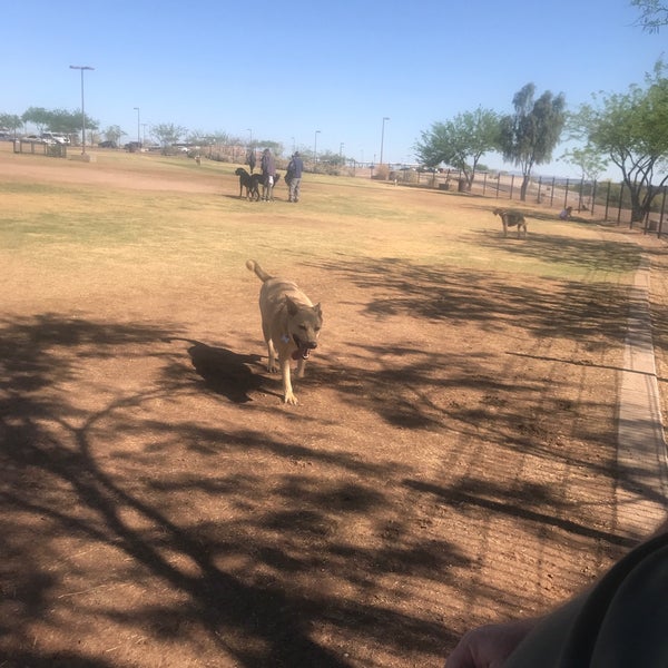 Paseo Vista Dog Park Dog Park in Chandler