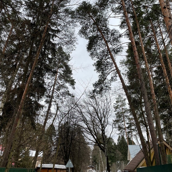 писательские дачи в переделкино. писательский городок в переделкино. переделкино серафимовича. дом-музей чуковского в переделкино. переделкино серафимович.