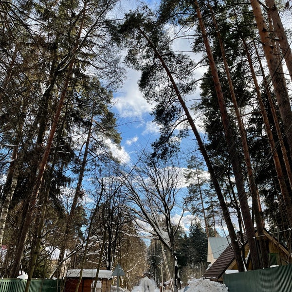переделкино легендарный поселок писателей. дом-музей пастернака в переделкино. дачный поселок переделкино. дача корнея чуковского в переделкино. музей бориса пастернака в переделкино.