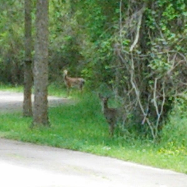 Rocky Branch Greenway 59 visitors
