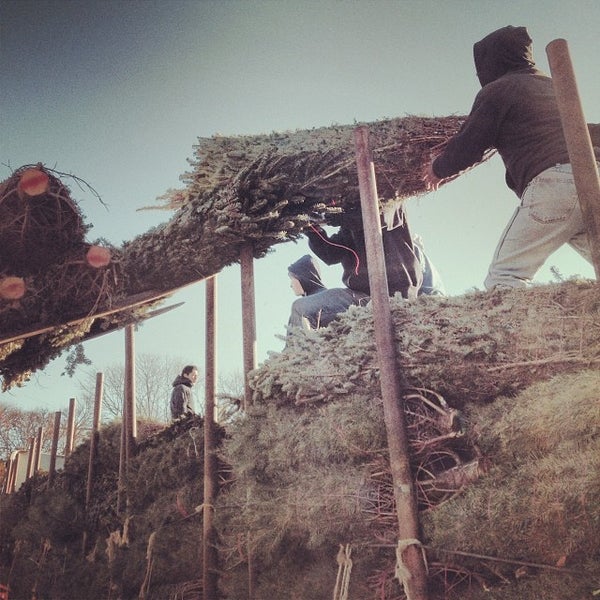 Copelands Mulch Depot Stanton, DE