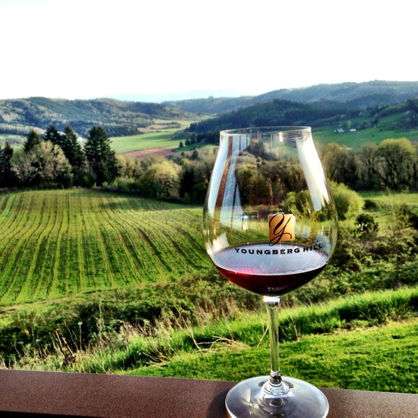 Come for the great wine, stay for the amazing views!