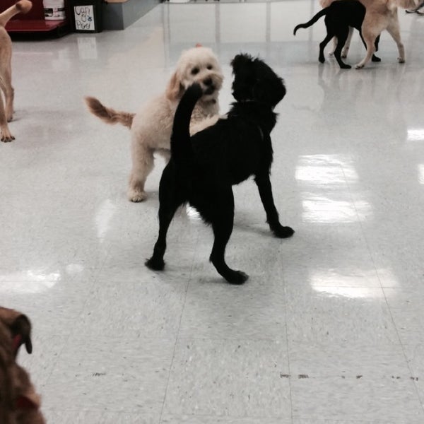 Petco Pet Supplies Store in Vernon Hills