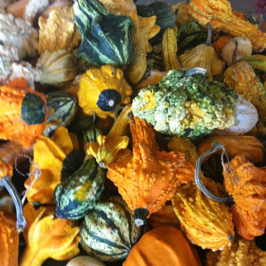 Weatherford Farmers Market Weatherford, TX