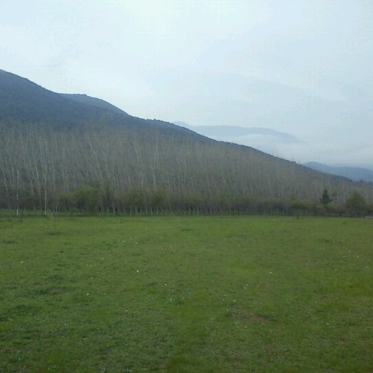 Hacienda Picarquin Camping en San Francisco de Mostazal