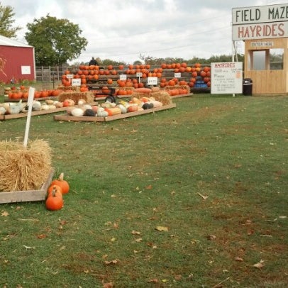 Das Foto wurde bei Fleitz Pumpkin Farm von Tara M. am 10/10/2012 aufgenommen