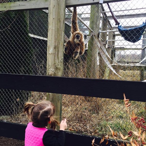 Foto diambil di Leesburg Animal Park oleh Pâmella F. pada 3/17/2015