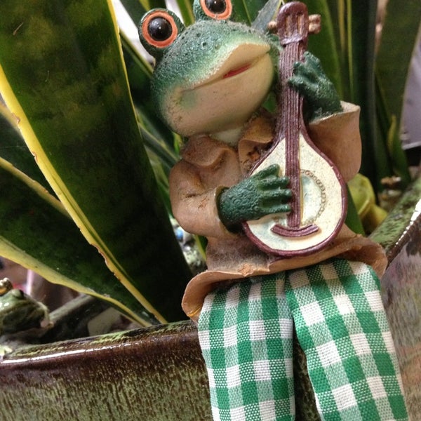 Wah Hing Kitchen Oakland Gardens 73 12 Bell Blvd