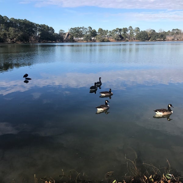 Lake Loretta Lake Park Albany, GA
