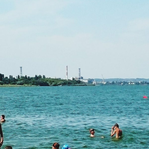 Курское море щетинка пляж