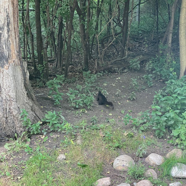 Jamie Bell Adventure Playground Playground in Toronto