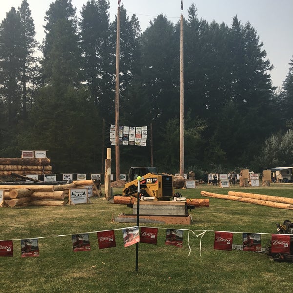 Cisco. Show logging. Анализатор логов с открытым исходным кодом. Ts notifier. Сельскохозяйственная деятельность в тайге.