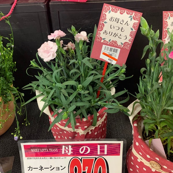 Photos At ザ ビッグ 輪之内店 輪之内町 岐阜県 Photos At ザ ビッグ 輪之内店 輪之内町 岐阜県